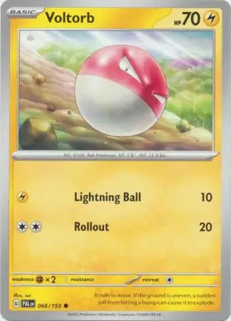 Paldea Evolved 066/193 Voltorb